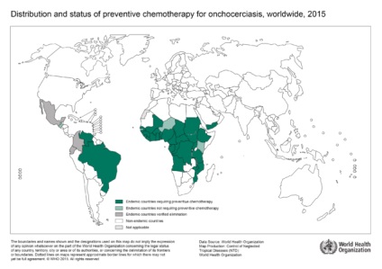 Onchocerciasis és loiasis hordozók emberekben, tünetek, képek, diagnózis, kezelés, megelőzés