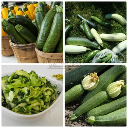 Zucchini originale ca rețete de ciuperci pentru iarnă