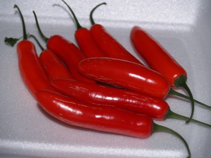 Serrano chili paprika