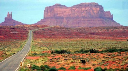 Vacanță în Grand Canyon pro și contra