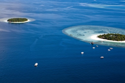 Hotel banyan copac vabbinfaru, rambler