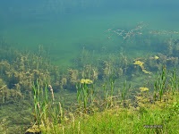 În turism, carierele de cretă din Belarus sunt Vakovykavysk, Soligorsk, mesteacan