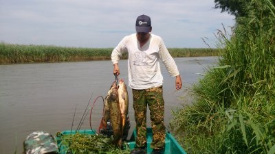 A tó nagy Krivskoe Kurgan régióban