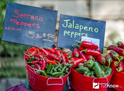 Pepper compoziția serrano, valoare calorică, beneficii, rețete