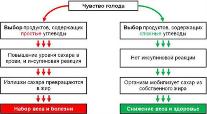 Nutriție după un accident vascular cerebral la domiciliu, sfaturi privind meniul