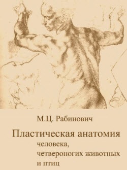 Anatomia plastică a oamenilor, a animalelor cu patru picioare și a păsărilor