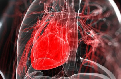 De ce inima bate oamenii de stiinta au dezvaluit secretul batailor inimii