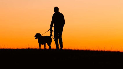 De ce să pierzi un câine este uneori mai greu decât să-ți pierzi un prieten sau o rudă