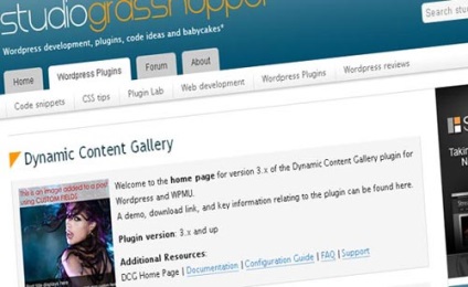 Optimizarea motorului de căutare și promovarea site - ului - arhivă blog 20 pluginuri utile pentru
