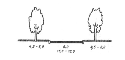 Plantarea copacilor în raport cu gardul