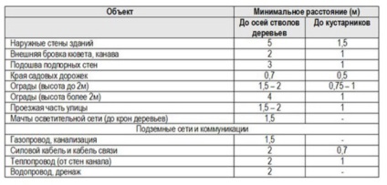 Посадка дерев по відношенню до паркану