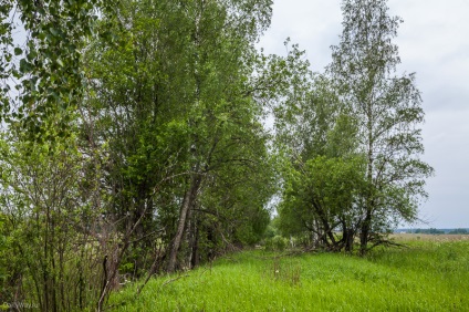 A régi Szmolenszk úton, egy végtelen utazást