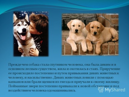 O prezentare pe tema unui câine în viața unui bărbat a fost realizată de directorul adjunct pentru educație