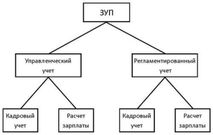 Profesia - 1с - contabilitate reglementată și managerială în ZUP