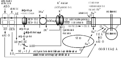 Reglarea metabolismului carbohidraților