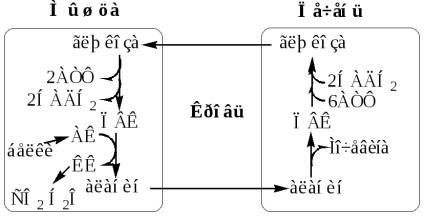 Reglarea metabolismului carbohidraților