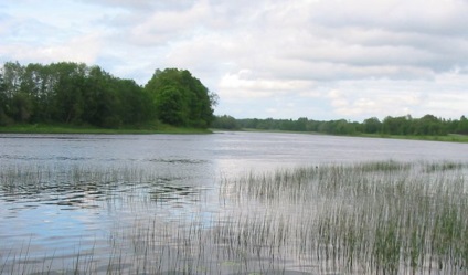 річка Арагві