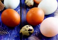 Reteta pentru prepararea unor oua comestibile delicioase la domiciliu