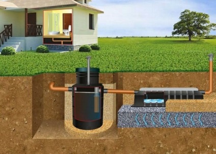 Septic fără câmp de filtrare - cum se reduce impactul apelor reziduale asupra mediului