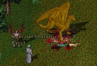 Szerver az Ultima Online - szerver az Ultima Online, hogyan lehet pénzt