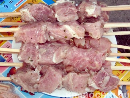 Shish kebab din carne de porc marinate în ceapă