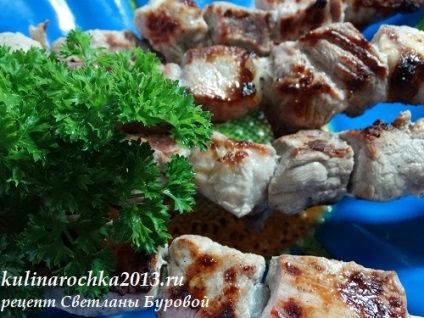 Shish kebab cu condimente aromatice - gatiti delicios, frumos si acasa!