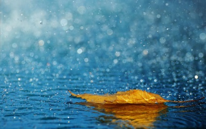 Strivire puternică pe ploaie, care vă va ajuta să aduceți noroc și dragoste în viața voastră! În lume