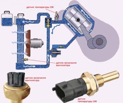 Sistemul de răcire a motorului - principalele componente și principiul de funcționare