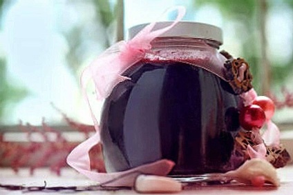 Suc de chokeberry negru pentru iarnă - rețete pentru spații libere printr-un juicer, într-un producător de sucuri, video