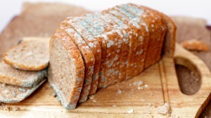 Perioada de valabilitate a pâinii și modul de păstrare adecvat și dacă este posibil în frigider
