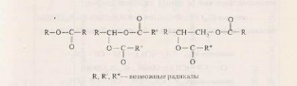 Structura și proprietățile lipidelor și a derivaților acestora