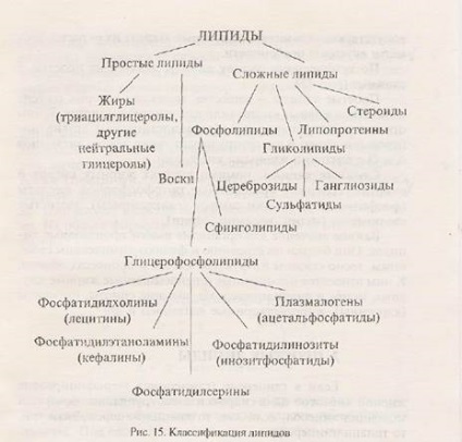 Structura și proprietățile lipidelor și a derivaților acestora