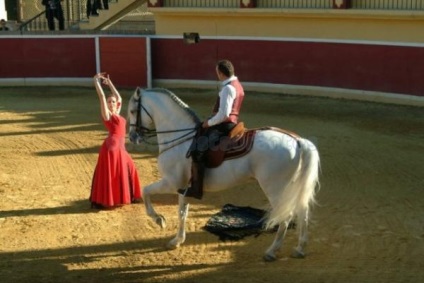 Nunta in Andaluzia, nunta speciala pentru nunti speciale