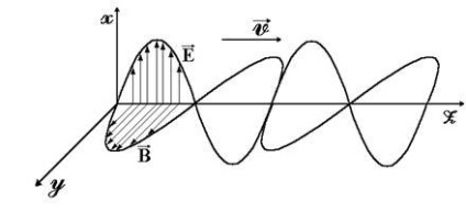 Proprietățile undelor electromagnetice, transversalitatea, oscilațiile în fază ale vectorilor de stres