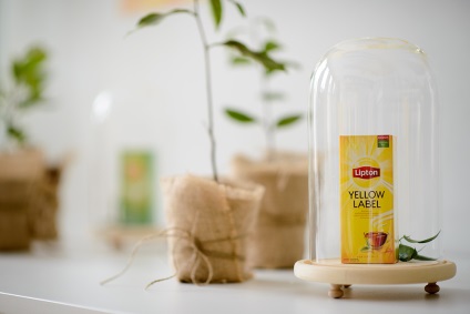 A lipton T-tesztelői emlékeznek több ezer árnyalatú aromaanyagra, hogy megőrizzék a tea gyűjtemény állandóságát 