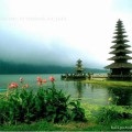 Transfer la Bali, Bali-cea mai bună odihnă
