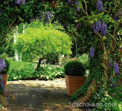 Un colt retras în grădină la cabană - 7 idei de izolare de la ochii curioși, ideile mele pentru dăruire și grădină
