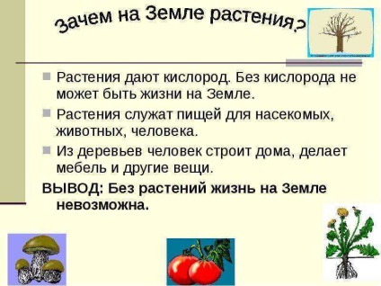 Урок по темі хто і навіщо живе на землі