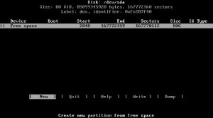 Instalarea și configurarea arhivei linux ca server