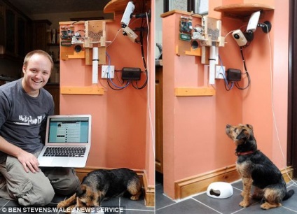 Un dispozitiv pentru hrănirea unui câine prin Internet