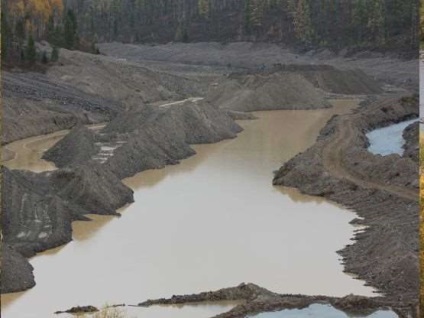 A hatás az erdőirtás az állam a tajga folyó Chikoy, cikk, Orosz Föderáció