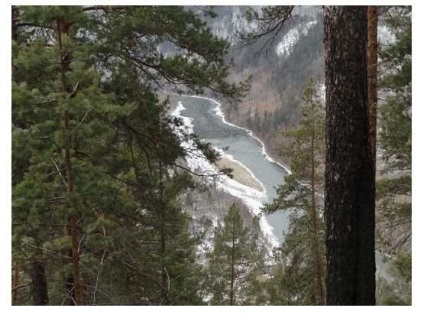 Impactul despăduririi asupra stării râului taiga, articol, Federația Rusă