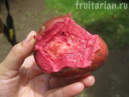 Mind-mind-mind guava