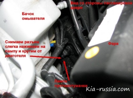 Înlocuirea lămpilor de ceață din compartimentul motorului sportyj - totul despre autoturismele kia, kia