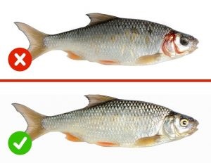 10 Teste rapide și ușoare pentru a verifica calitatea alimentelor