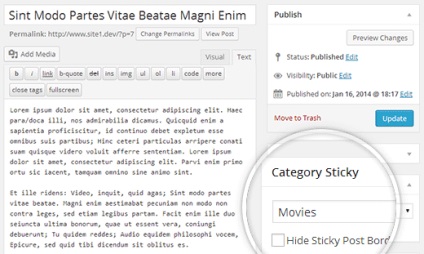 10 Cele mai interesante hacks și plugin-uri pentru titluri în wordpress