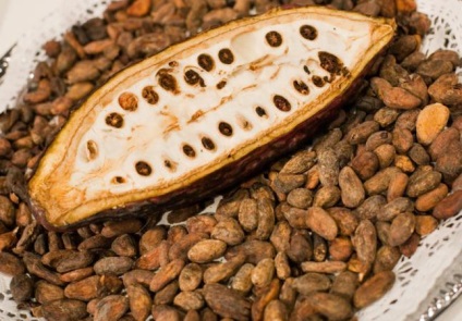 10 Țări-lideri în producția de cacao