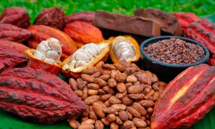 10 Țări-lideri în producția de cacao