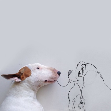 Bull Terrier a házban! A sorozat bájos kisállat portrék