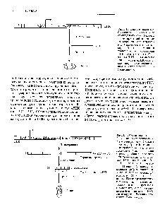 Lanțurile ARN sunt sintetizate în manualul de referință al chimistului 21